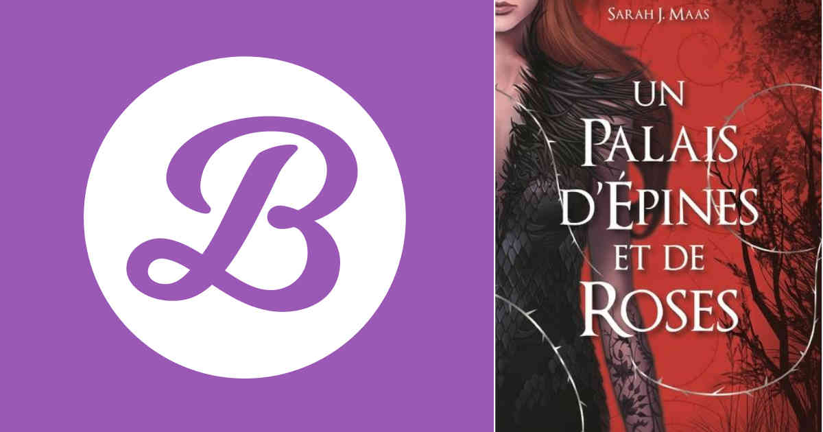 Un palais d'épines et de roses 1 | Journal d'une bibliothécaire