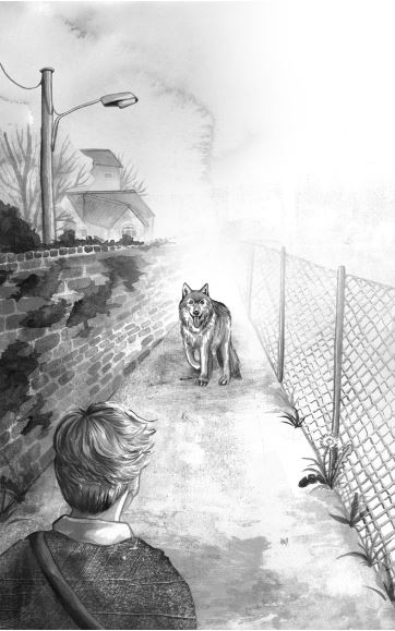 voix du loup rencontre